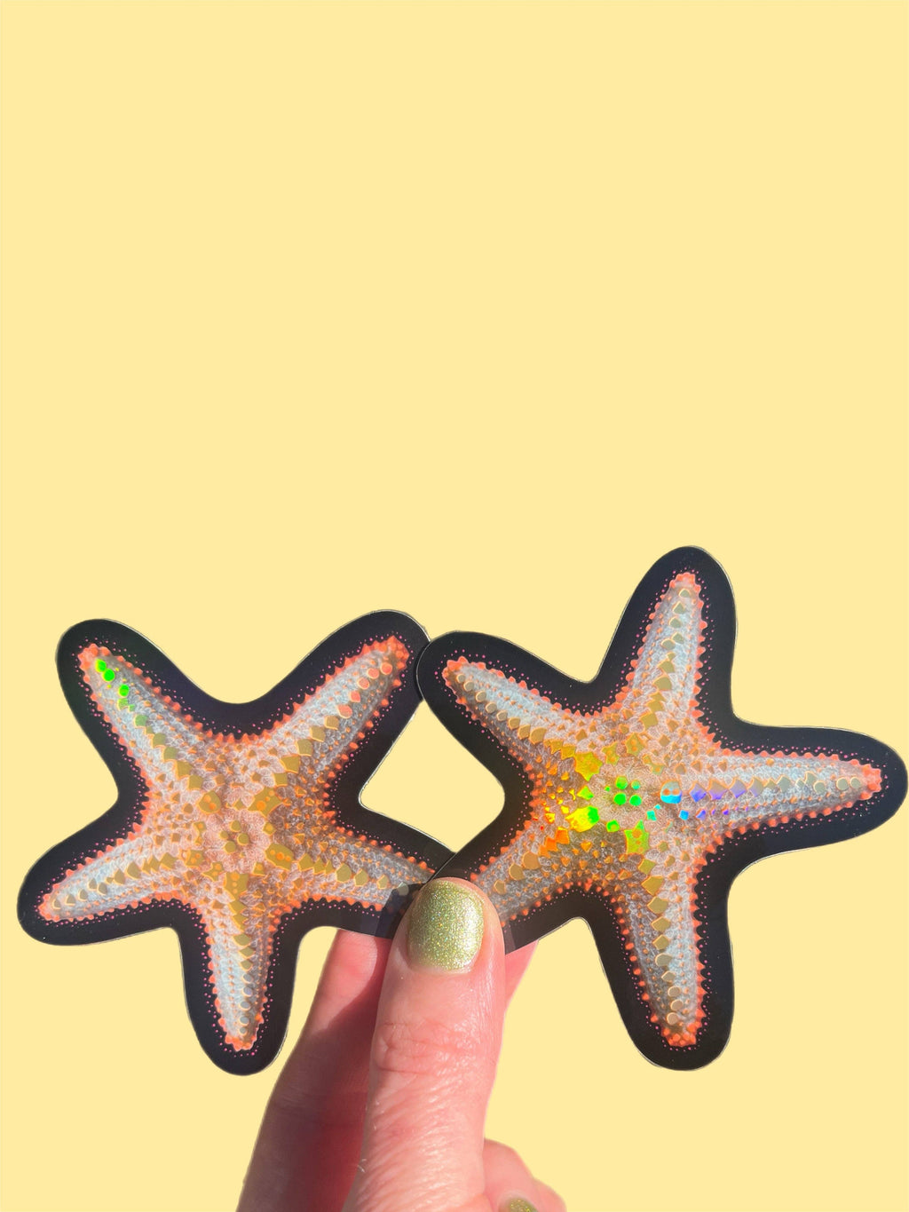 Starfish STICKER 3 Inch
