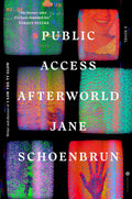 Cover of Public Access Afterworld: A Novel