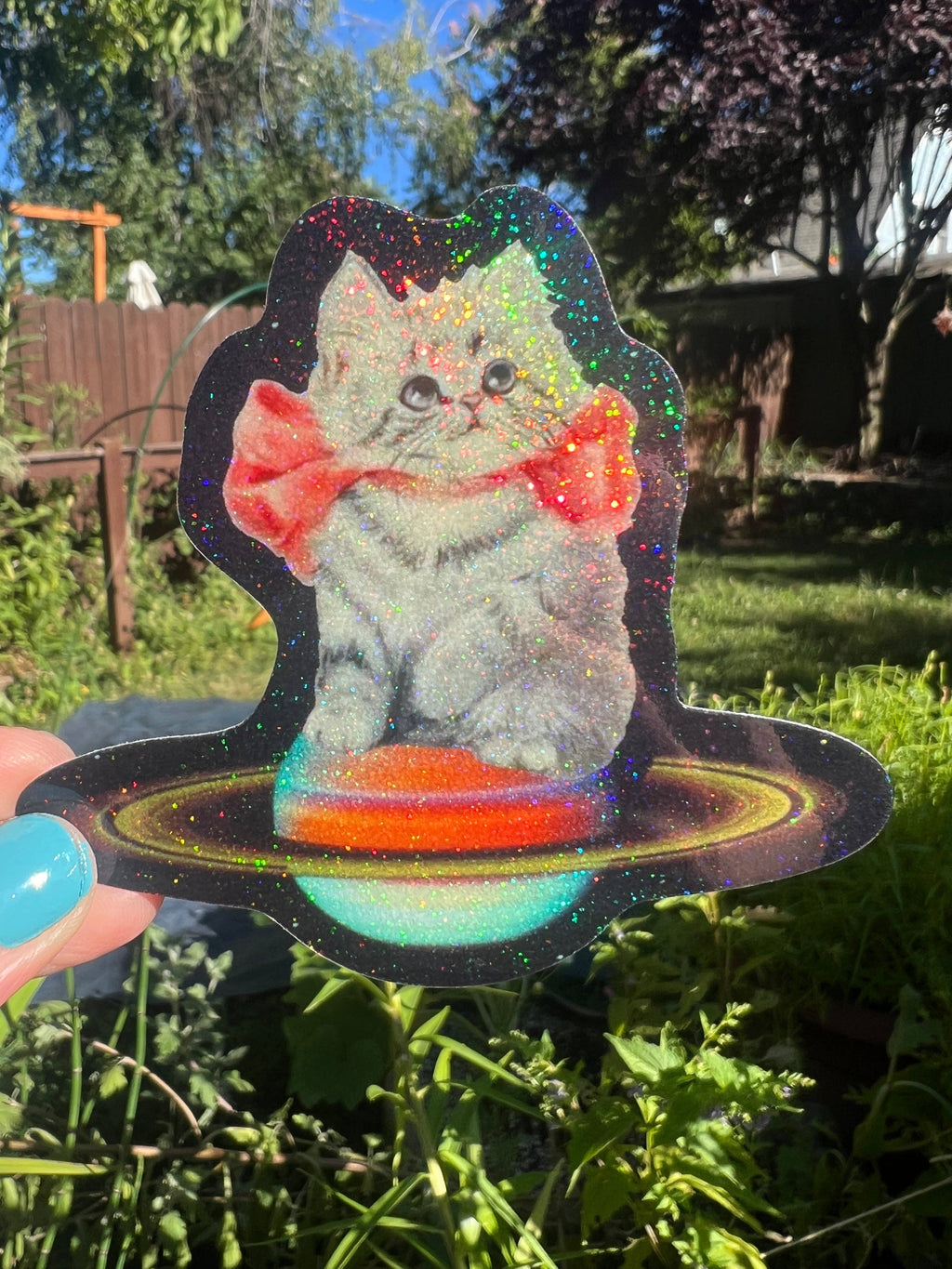 Planetary Kitten STICKER 3 Inch