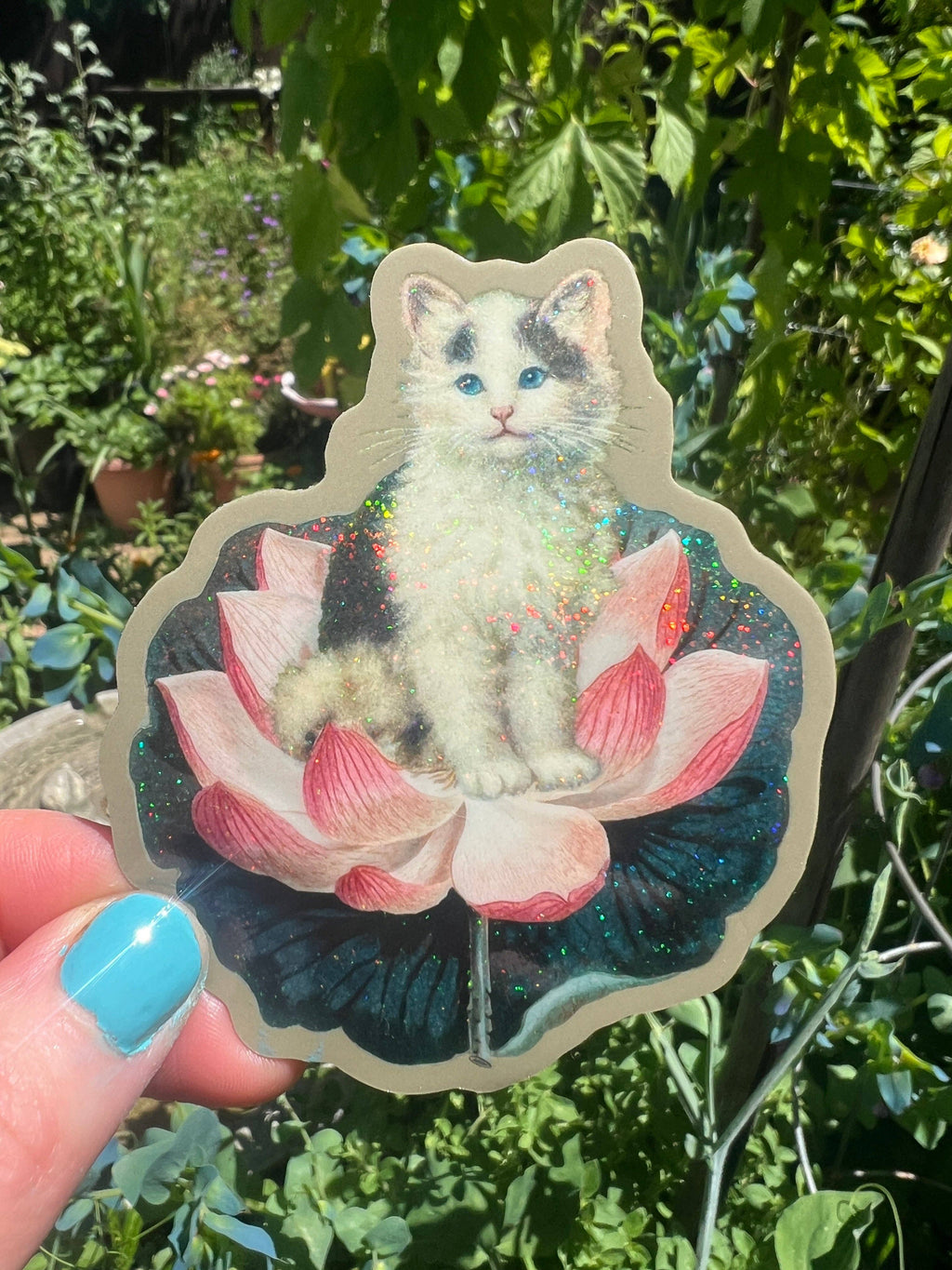 Cat on Lotus STICKER 3 Inch