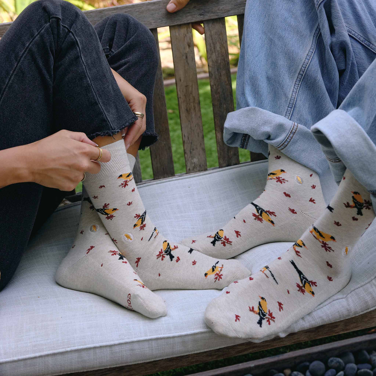 Socks that Protect Goldfinches  | Gifts for Bird Watchers: Medium