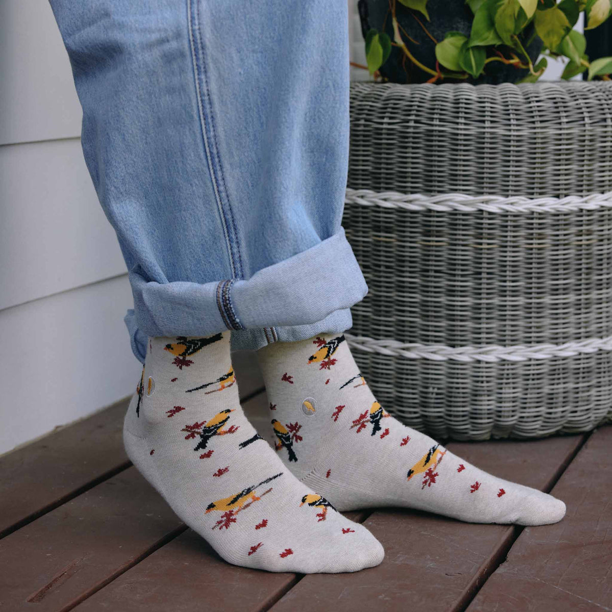 Socks that Protect Goldfinches  | Gifts for Bird Watchers: Medium