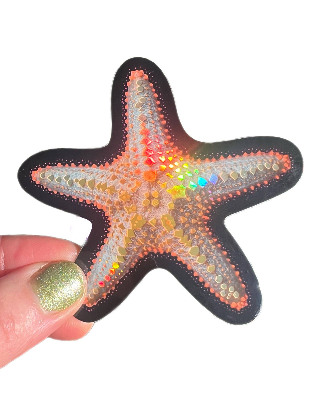 Starfish STICKER 3 Inch