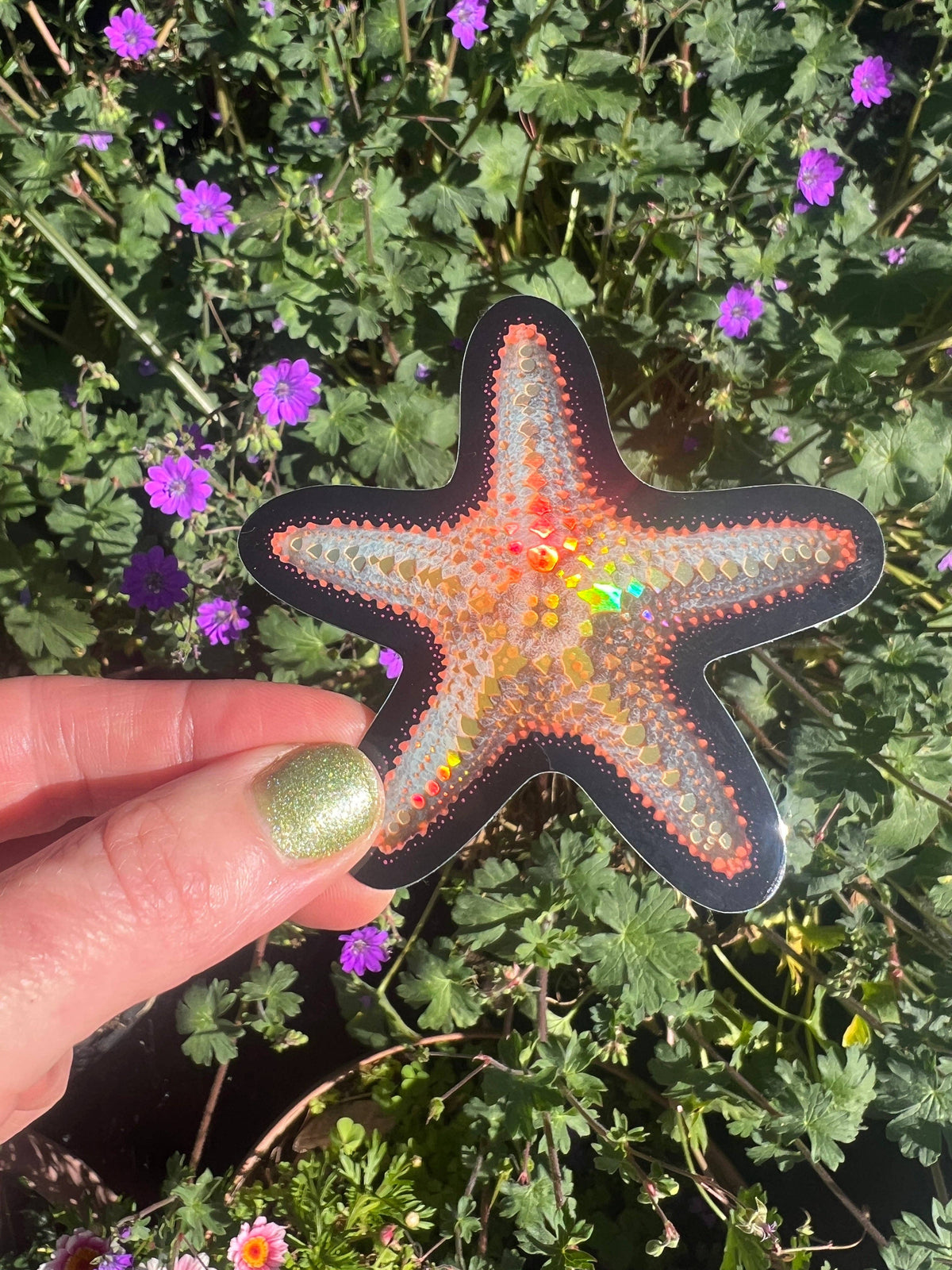 Starfish STICKER 3 Inch