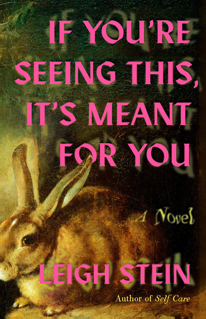 Cover of If You're Seeing This, It's Meant for You A Novel