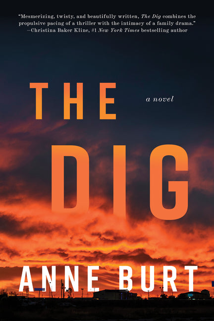 Cover of The Dig A Novel