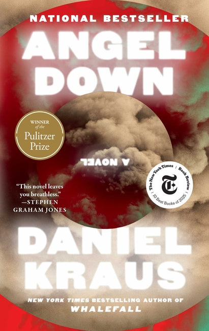 Cover of Angel Down