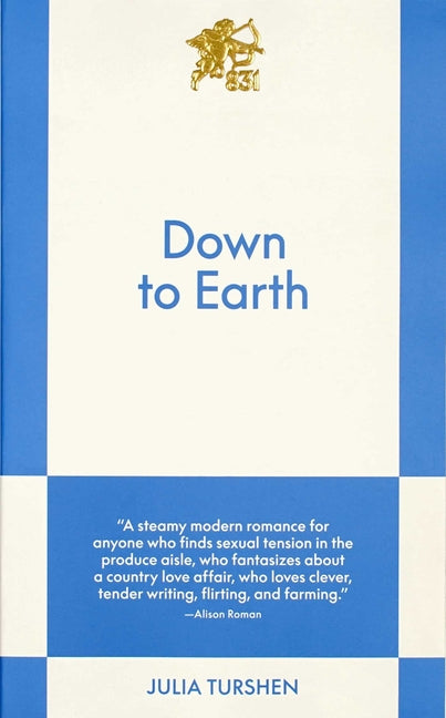 Cover of Down to Earth An 831 Stories Romance